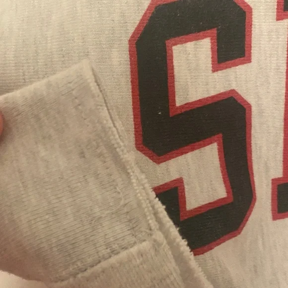 Champion Gray CROP SDSU Sweatshirt - Picture 3 of 7